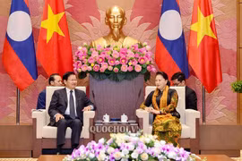 Chủ tịch Quốc hội Nguyễn Thị Kim Ngân hội kiến Thủ tướng CHDCND Lào
