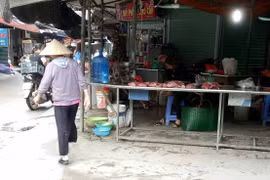 Cảnh giác cao với nguy cơ dịch tả Châu Phi quay lại