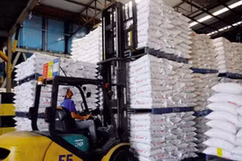 Chi hơn 1,2 tỉ USD nhập khẩu thức ăn chăn nuôi và nguyên liệu