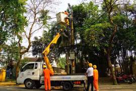 Thừa Thiên Huế: Đảm bảo cung cấp điện ổn định, an toàn trong dịp Tết 2020