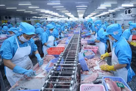 EVFTA và IPA sẽ là cầu nối giữa EU và ASEAN trong tương lai