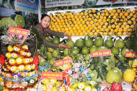 Bắc Giang: Nhiều nét mới tại hội chợ cam, bưởi và các sản phẩm đặc trưng của huyện Lục Ngạn năm 2019