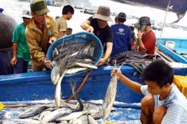 3 vấn đề lớn của ngành thủy sản trong 6 tháng cuối năm