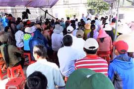 Sự cố tràn dầu tại Nhà máy cồn Đại Tân ( Quảng Nam) gây ô nhiễm môi trường: Đối thoại bế tắc