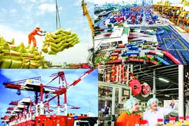 ADB dự báo tăng trưởng kinh tế Việt Nam đạt 6,8% trong năm 2019