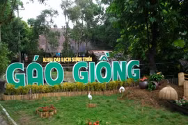 Đồng Tháp liên kết TP.HCM và các tỉnh, thành ĐBSCL phát triển du lịch