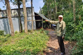 Phó Thủ tướng yêu cầu làm rõ nội dung tố cáo liên quan đến đất đai ở tỉnh Đồng Tháp