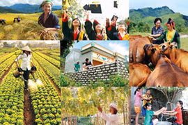 Triển khai Kế hoạch tổ chức Cuộc thi các tác phẩm báo chí về giảm nghèo năm 2019