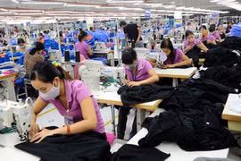 Doanh nghiệp Việt còn nhiều hạn chế về khai thác lợi thế từ FTA