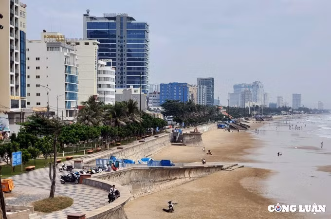 hien trang 28ha dat vang bai bien thuy van sau quyet dinh thu hoi cua tinh ba ria vung tau hinh 9