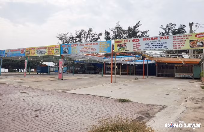 hien trang 28ha dat vang bai bien thuy van sau quyet dinh thu hoi cua tinh ba ria vung tau hinh 8