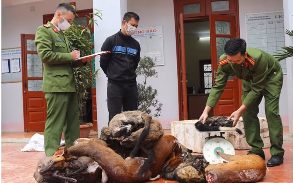 dien bien thu giu gan 130 kg dong vat hoang da hinh 1