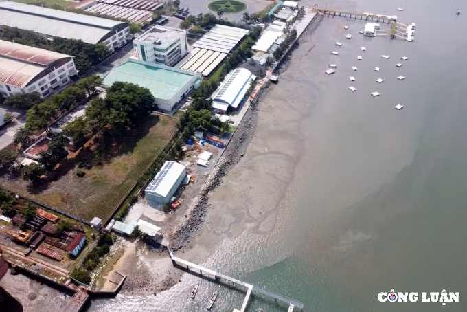 can canh nhung sai pham nghiem trong tai khu du lich ben du thuyen vung tau marina hinh 1