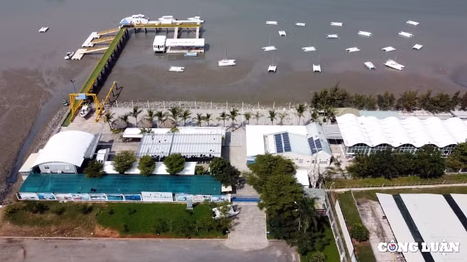 can canh nhung sai pham nghiem trong tai khu du lich ben du thuyen vung tau marina hinh 5