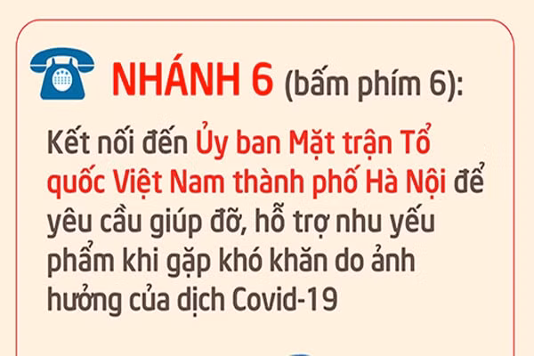 ha noi cong bo mo rong tong dai dien thoai 1022 phuc vu dieu tri f0 tai nha hinh 7