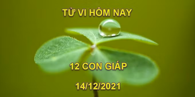 tu vi hom nay 14 12 2021 thu 3 ngay 11 11 am lich cua 12 con giap hinh 1