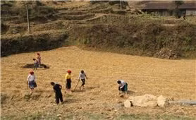 Đất đai ở nhiều vùng DTTS khô cằn, khó canh tác