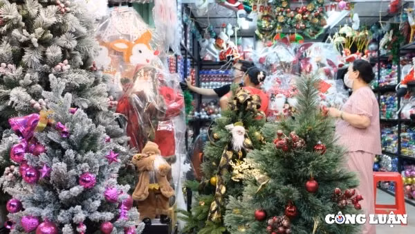 nguoi dan tp hcm nhon nhip sam cay thong trang tri nhung ngay can noel hinh 6