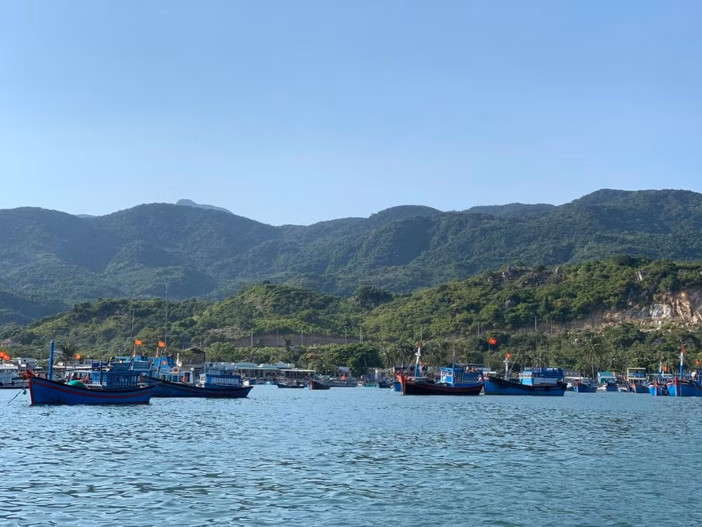 Tàu thuyền luôn tấp nập nơi cửa vịnh.