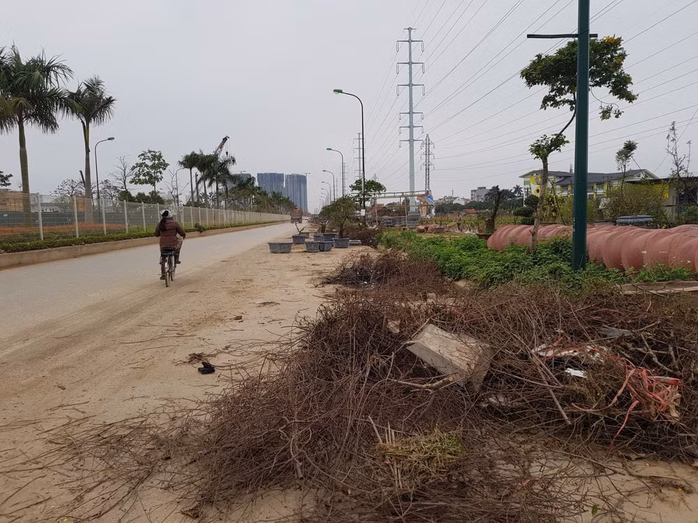 Sau Tết chậu cảnh, đất đá vương vãi khắp một đoạn đường.