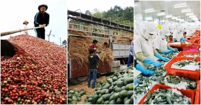 Giá trị xuất khẩu 2 tháng đầu năm 2019 đạt 5,5 tỷ USD, giảm 1,6% so với cùng kỳ năm 2018 (Ảnh minh họa)