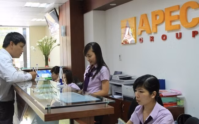 chung khoan apec aps chuan bi phat hanh 11 trieu co phieu esop voi gia bang nua thi gia hinh 1