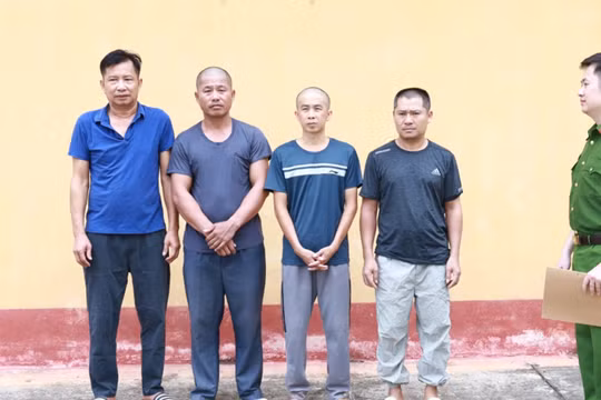 Lạng Sơn: Khởi tố nhóm đối tượng cá độ bóng đá mùa World Cup 2026