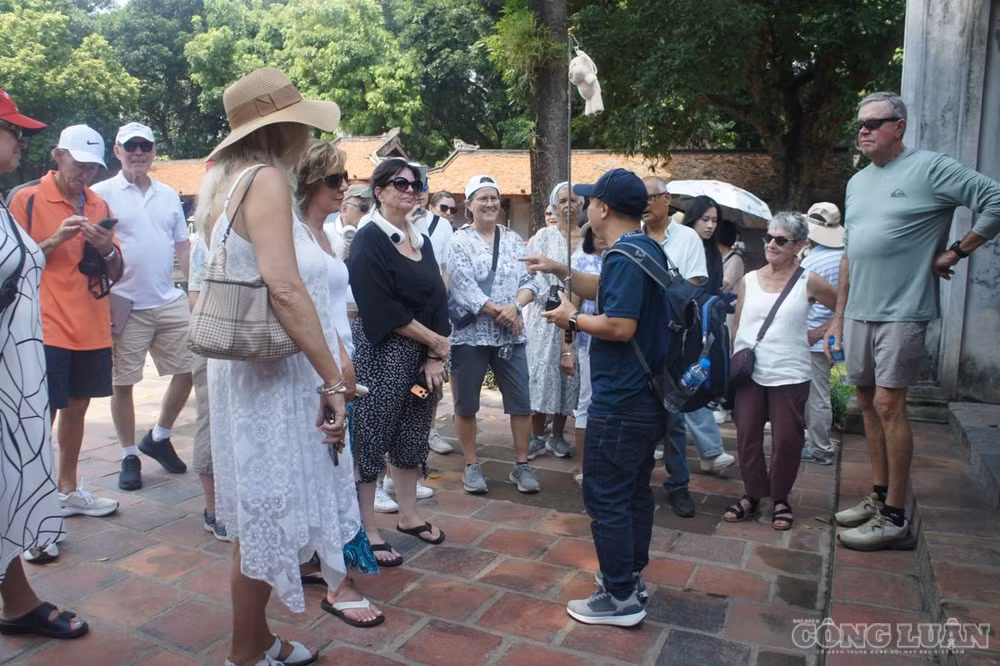 clo_br_dsc09822.jpg