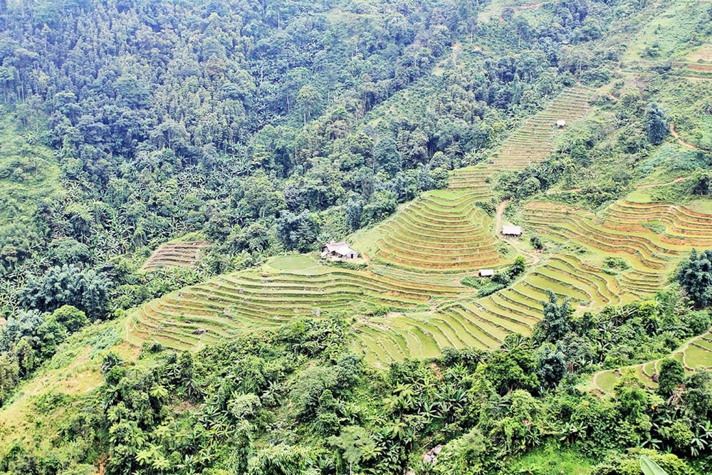 Ruộng bậc thang Hà Giang. Ảnh: Cục DLQG Việt Nam 3.jpg