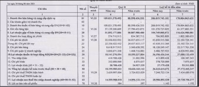 Kết quả kinh doanh quý 2 và 6 tháng đầu năm 2021 của Idico.