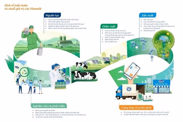 Mô hình kinh tế tuần hoàn vận dụng trong chuỗi giá trị
