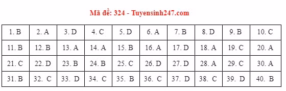 su-324-16257702826181977817721
