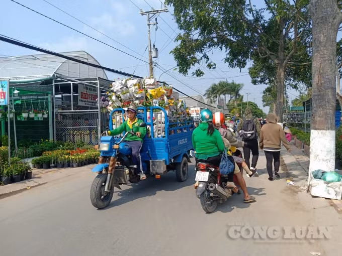 Hơn 152.000 lao động tự do ở Đồng Tháp sắp được hỗ trợ