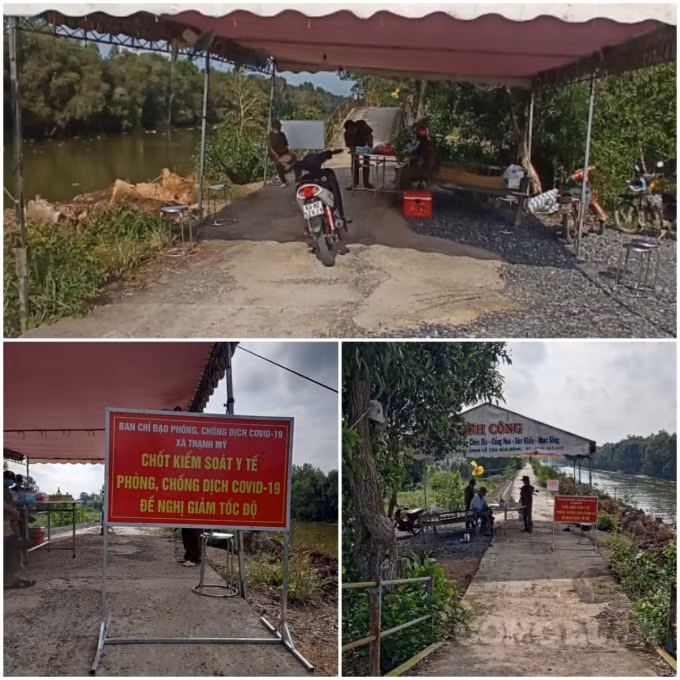 Nhiều chốt kiểm soát y tế được lập ra, đã làm khó cho người nông dân trồng khóm. Ảnh: NT