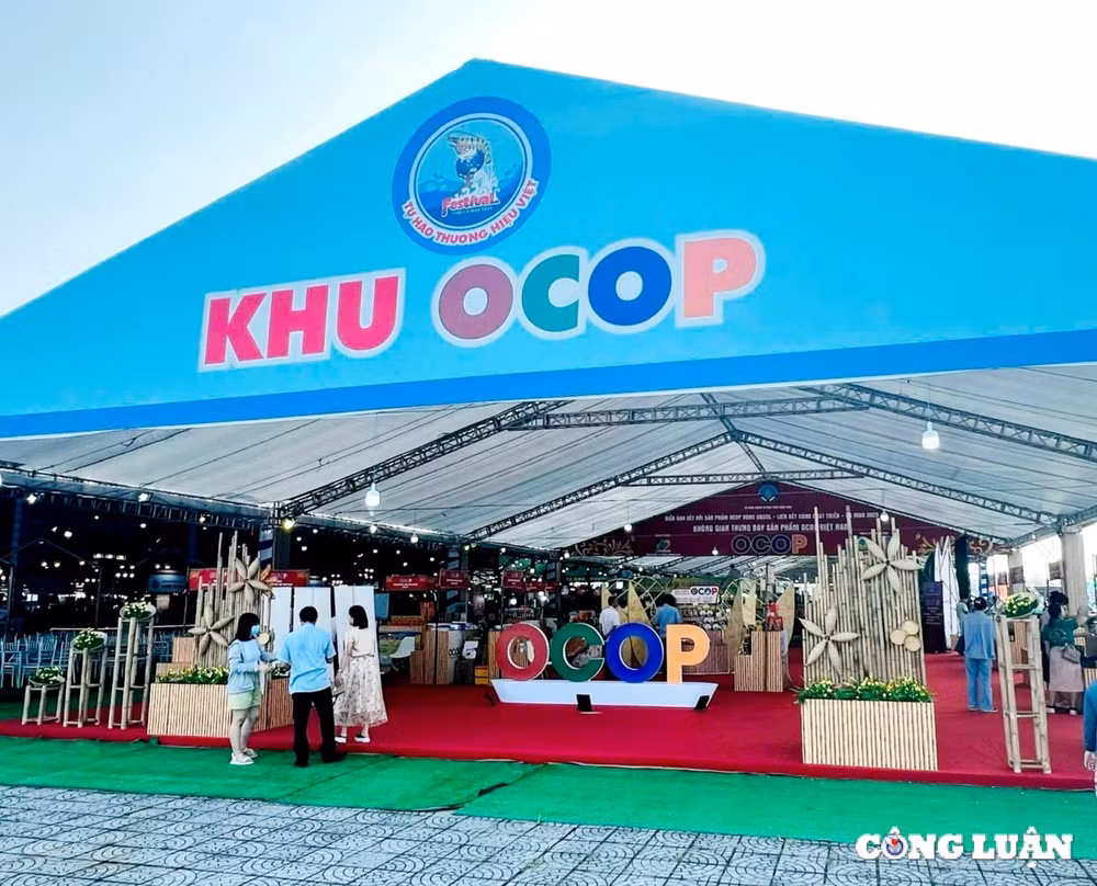 ca mau to chuc de doan doanh nghiep quoc te vao khao sat thi truong ket noi giao thuong hinh 2