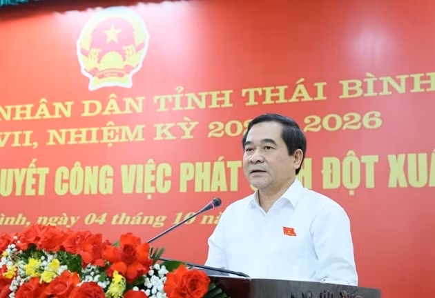 hdnd tinh thai binh khoa xvii thong qua 10 nghi quyet quan trong hinh 2
