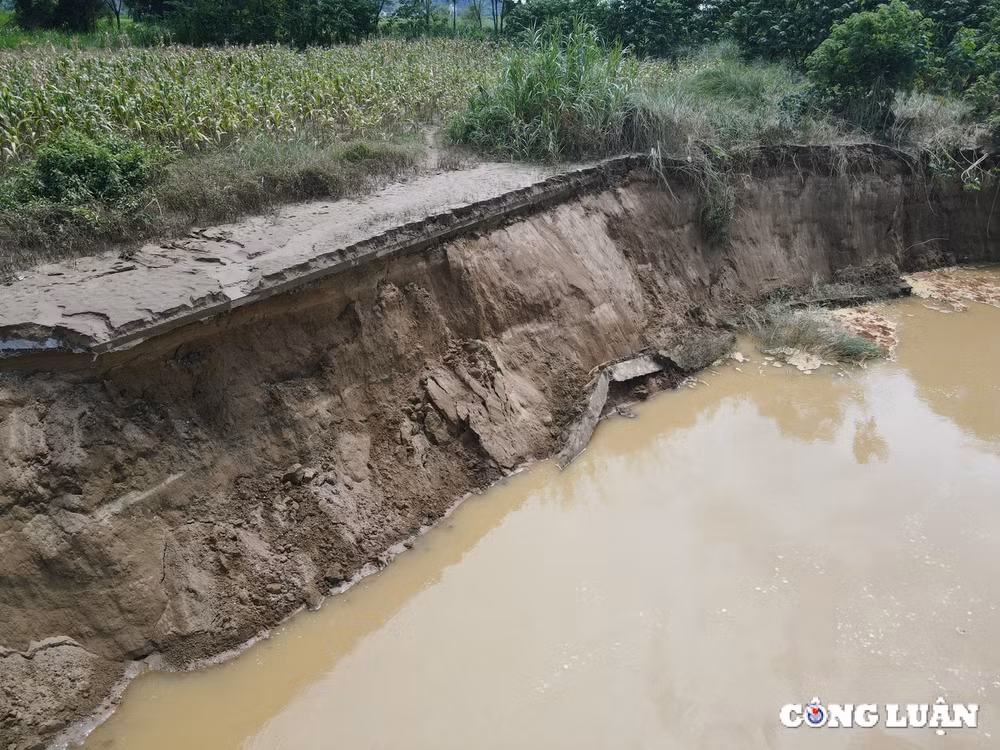 can canh vi tri sat lo bo song ma tai huyen vinh loc thanh hoa hinh 12