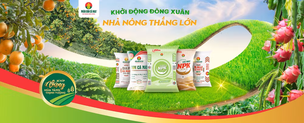 phan bon ca mau ky thuat trao tay vuot kho khan ngay hinh 3