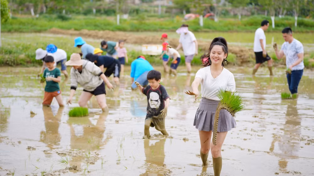 that nghiep lien mien genz trung quoc ve que nghi huu chua lanh hinh 2