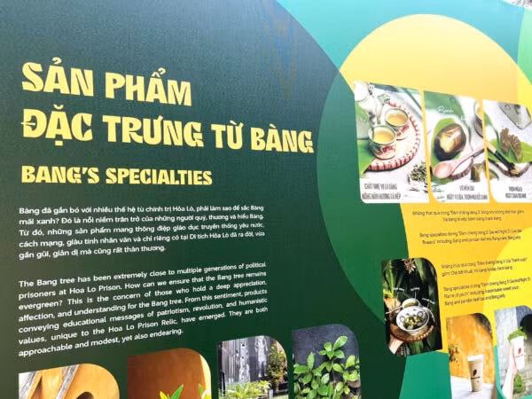 trung bay dac biet ve cay bang tai nha tu hoa lo hinh 2