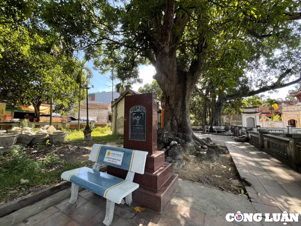 ha noi kham pha khong gian ngoi dinh co luu giu bao vat phu dieu quoc to lac long quan hinh 7