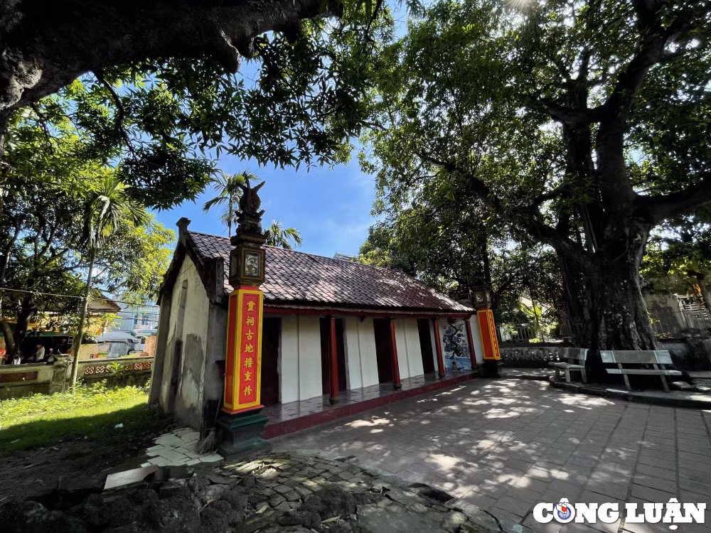 ha noi kham pha khong gian ngoi dinh co luu giu bao vat phu dieu quoc to lac long quan hinh 6