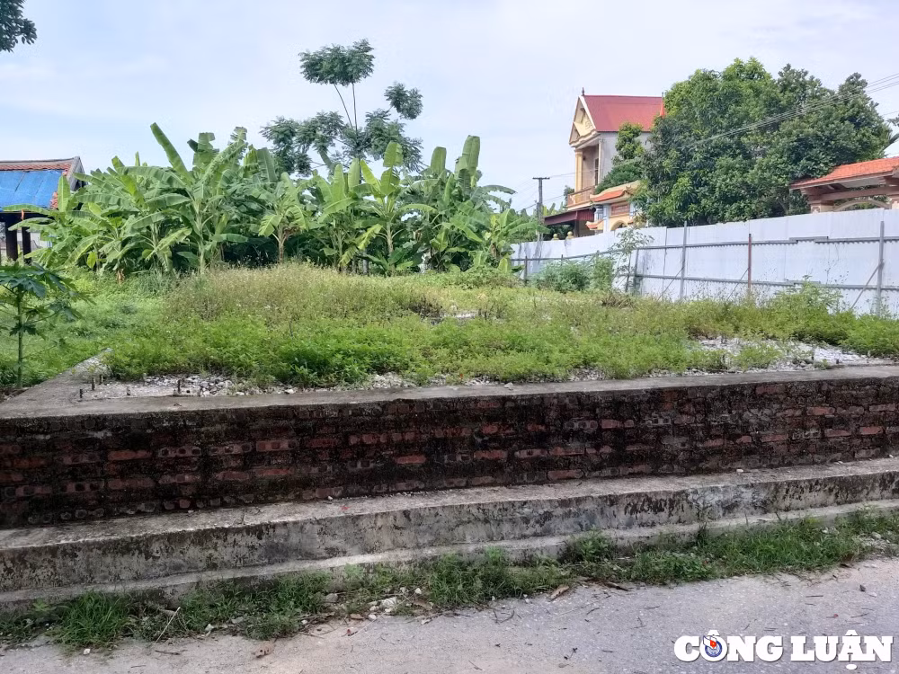 thanh hoa du an ton tao khu di tich phu trinh 8 nam chua thuc hien xong buoc chu truong dau tu hinh 4