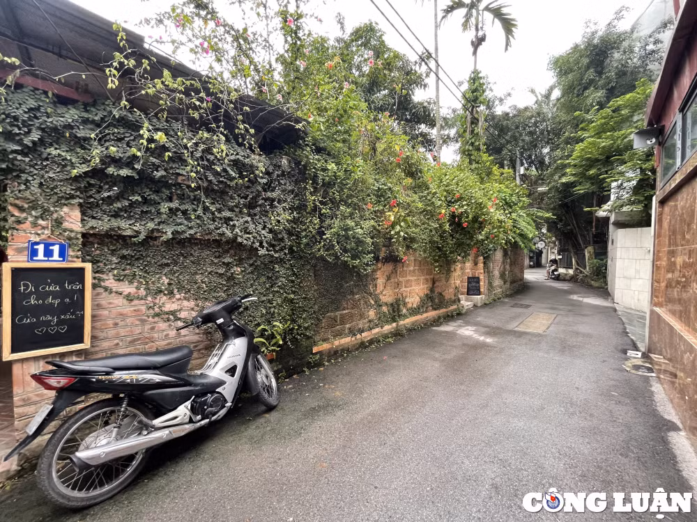 khong gian quan ca phe nhu rung nhiet doi thu nho giua long thu do ha noi hinh 1
