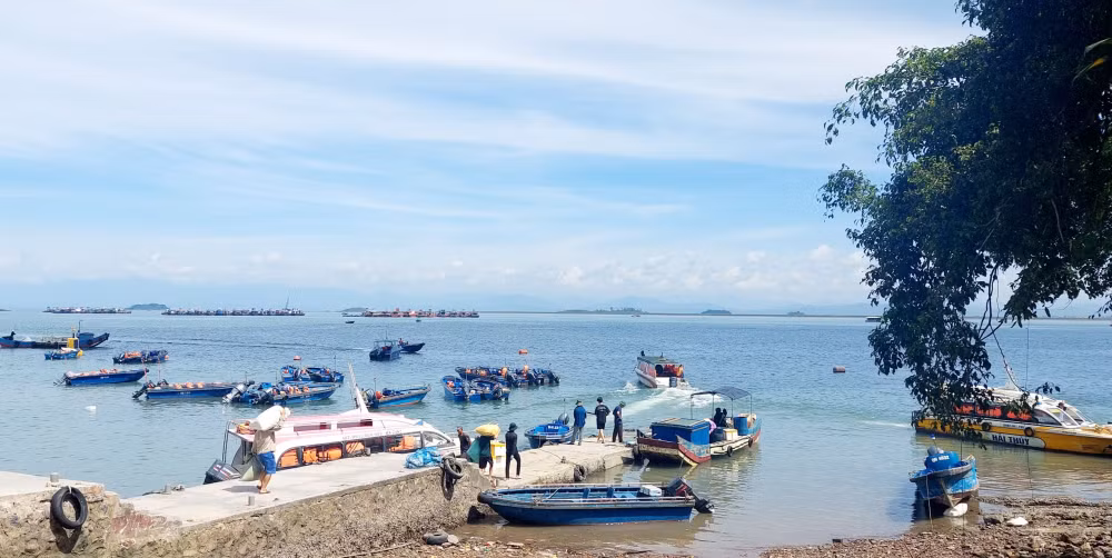 tu hao thanh tich 60 nam hinh thanh va phat trien tinh quang ninh hinh 4