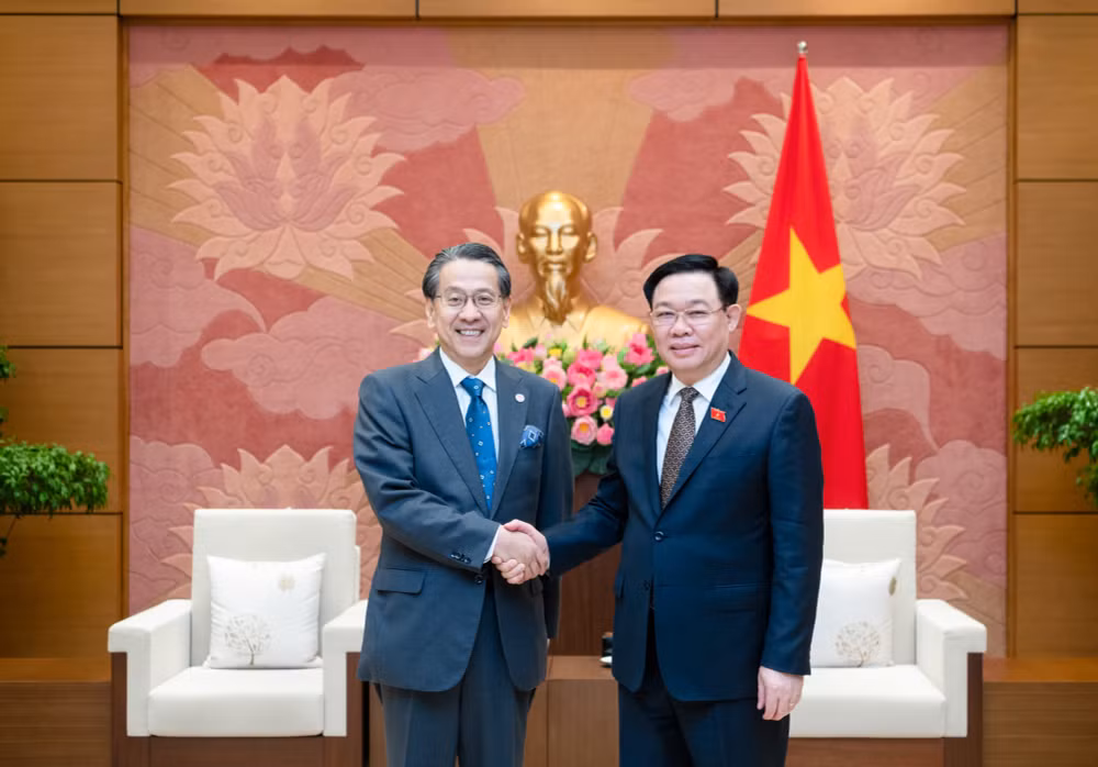viet nam nhat ban co nhieu tiem nang trong phat trien dien sinh khoi hinh 1