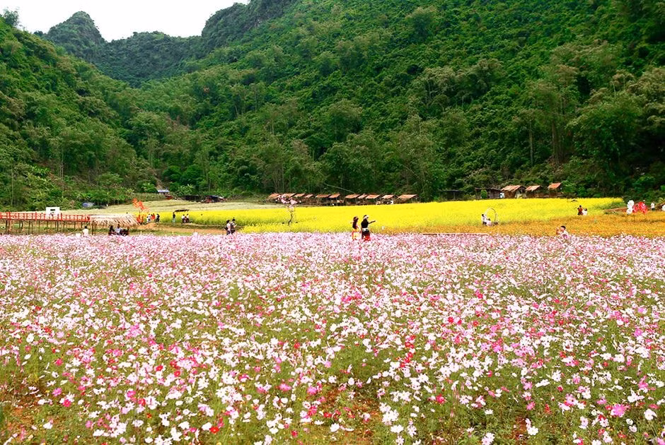 bac ha to chuc festival cao nguyen trang mua thu nam 2023 hinh 1
