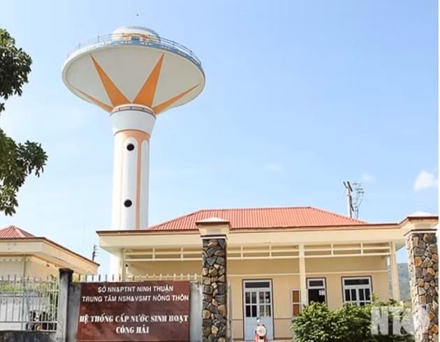 cuu truong phong va 1 giam doc o ninh thuan bi khoi to vi vi pham dau thau hinh 1