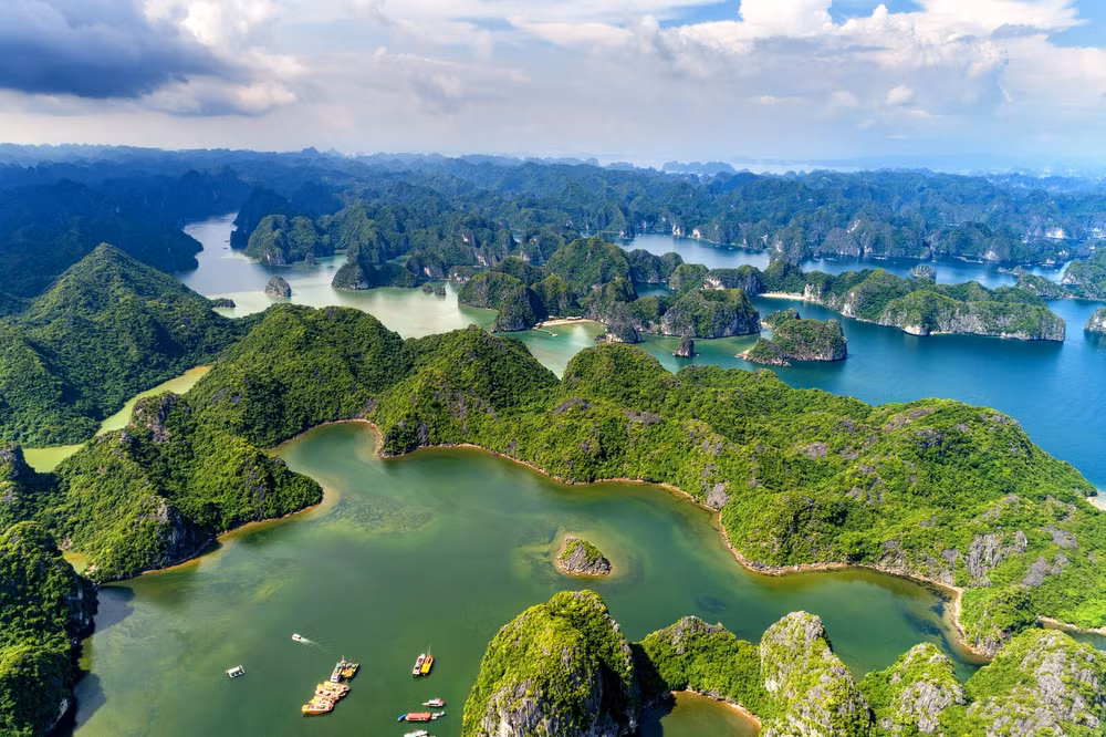 sa pa cat ba duoc du khach tim kiem nhieu nhat dau nam 2025 hinh 2