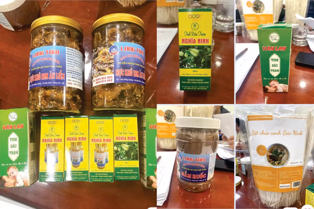 thanh pho dong hoi quang binh vung buoc vuot thach thuc kinh te xa hoi bung sang hinh 4